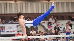 serie b lpg06222 ph pagliaricci ferraro